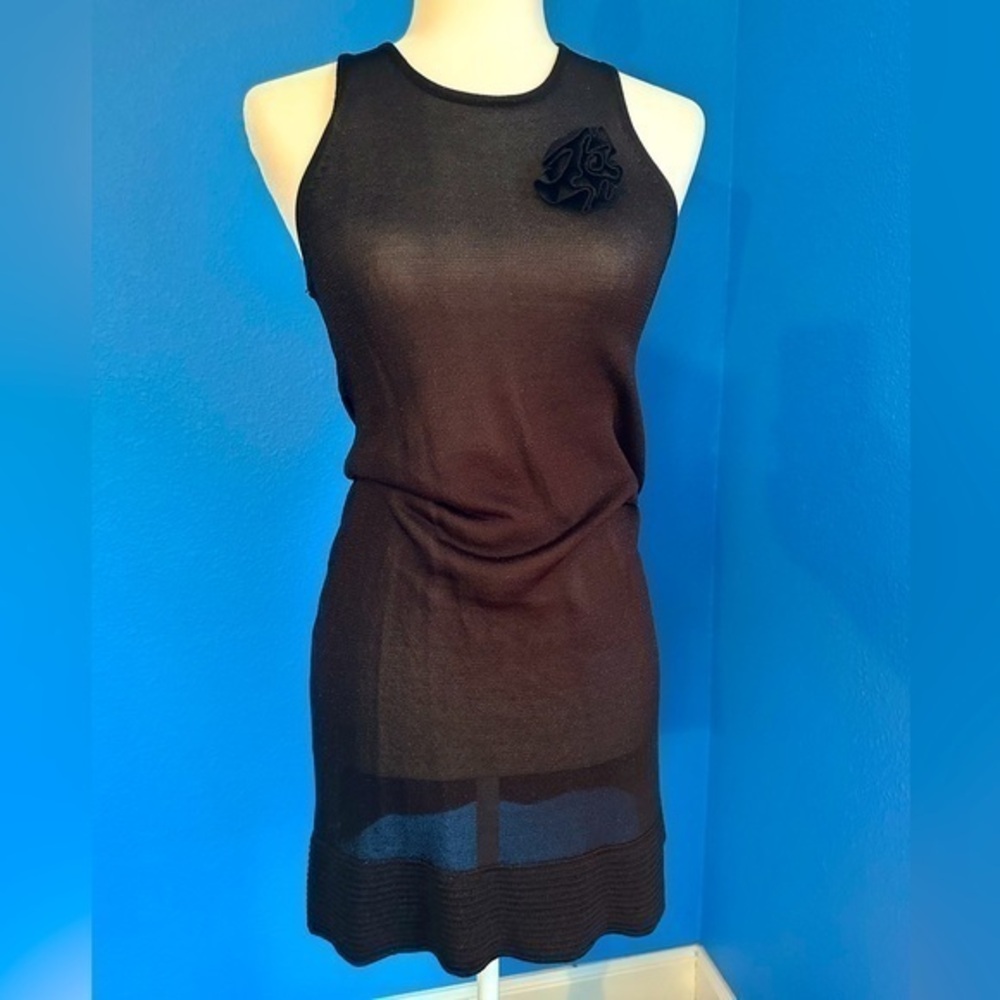 Sheer black mini dress